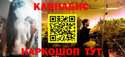 индика Первоуральск
