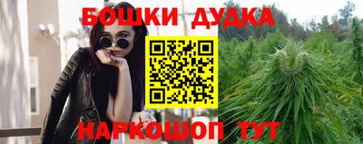индика Первоуральск