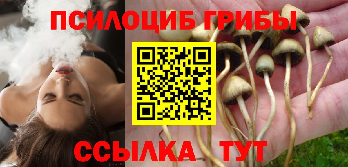 Галлюциногенные грибы Magic Shrooms Анапа